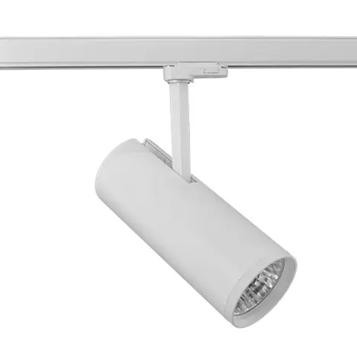 SP3600126 - XXX830N
